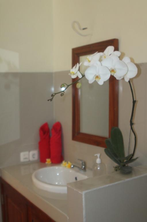 Amed Kunara Guest House Extérieur photo